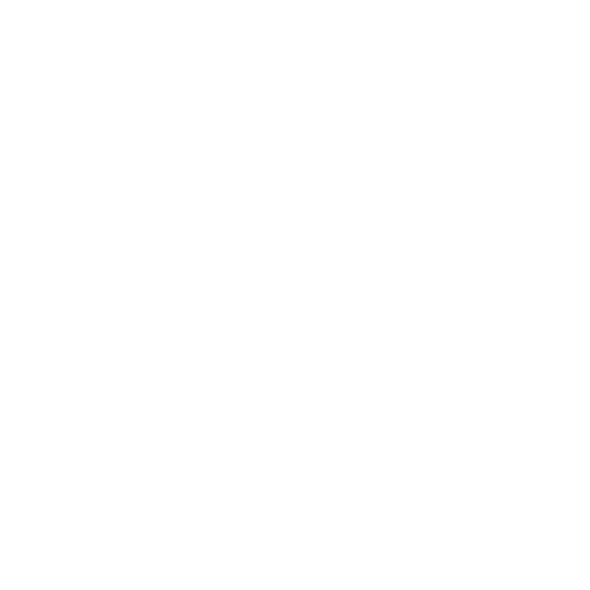 !!!Logo CXW -WHITE-TRANSP-MASTER-01-01